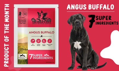 Angus Buffalo