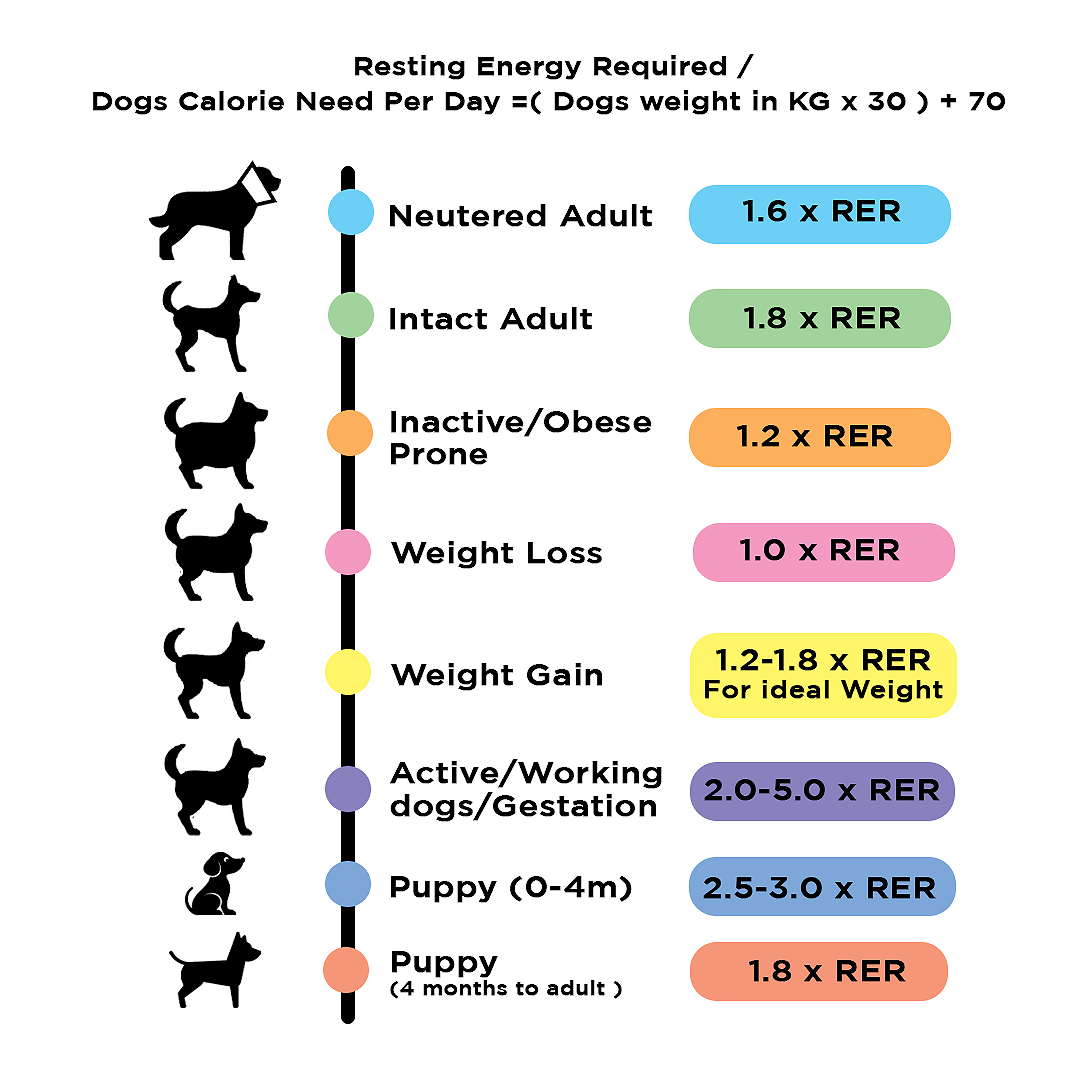 The Hulk's Diet-Assorted (Giant 41-46Kg Breed) 54 Kg