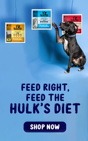 Hulk Dog Food Hot Sale 4asia.es